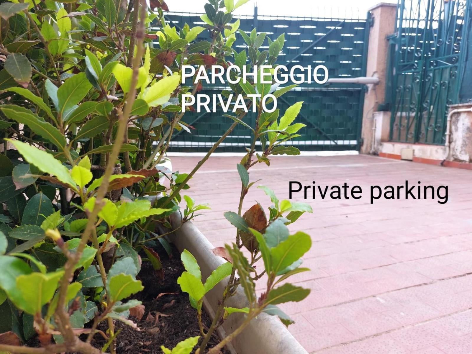Appartement Art And Garden à Palerme Extérieur photo
